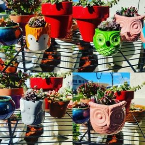 New Mini owl ceramic planter/pot